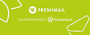 WordPress Newsletter plugin