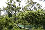 Danum Valley
