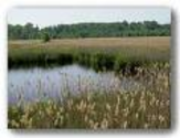 Best Places to Visit in Lake County Ohio | Mentor Marsh State Nature Preserve