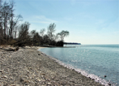 Lake Metroparks - Arcola Creek Park