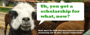 College Rankings and Lists | Inside College | CollegeXpress