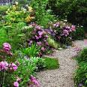Plant Finder