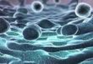 Cell Biology Animations