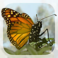 The 30 Best Educational Apps For iPad In 2014 | Brian Cox's Wonders of Life