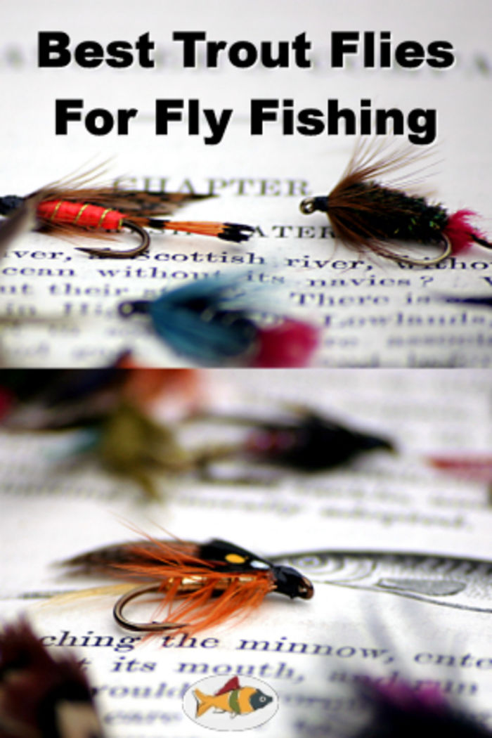 Best Trout Flies For Fly Fishing | A Listly List
