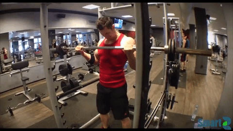 item2056335_600px.gif?ver=8975176112