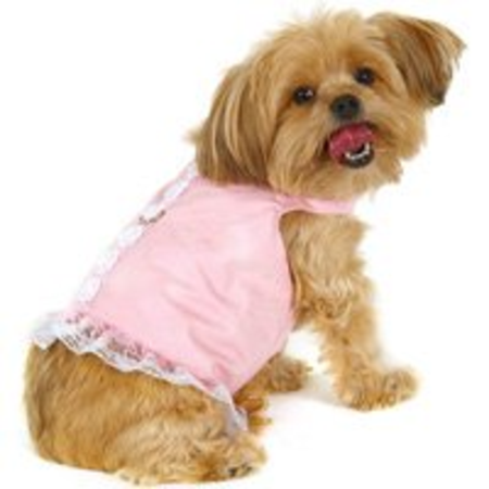 Pretty in Pink Dog Dresses | A Listly List